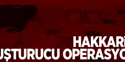 Hakkari'de uyuşturucu operasyonu