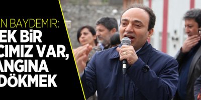 Baydemir; 'Tek bir amacamız var, yangına su dökmek'