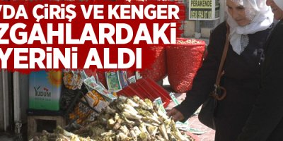 Van'da Çiriş ve Kenger tezgâhlardaki yerini aldı