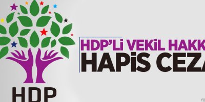 HDP'li vekil hakkında hapis cezası!