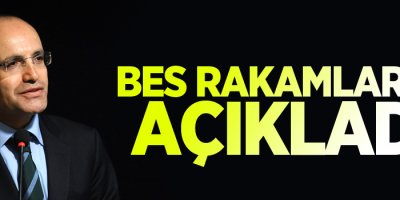 Başbakan Yardımcısı Şimşek, BES rakamlarını açıkladı