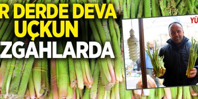 Her derde deva uçkun, tezgahlarda ki yerini aldı