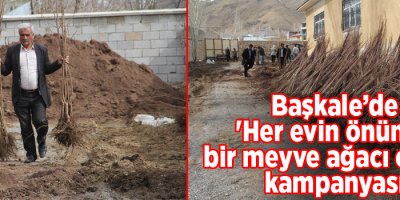 Başkale’de 'Her evin önünde bir meyve ağacı olsun’ kampanyası