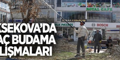 Yüksekova'da ağaç budama çalışmaları