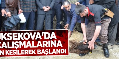 Yüksekova'da su çalışmalarına kurban kesilerek başlandı