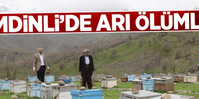 Şemdinli’de arı ölümleri