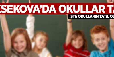 Yüksekova'da okullar tatil!