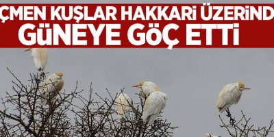 Göçmen kuşlar Hakkari üzerinde güneye göç etti