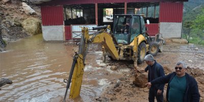 23 küçükbaş hayvan telef oldu