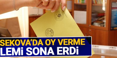 Yüksekova'da oy verme işlemi sona erdi