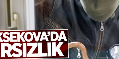 Yüksekova'da hırsızlık!