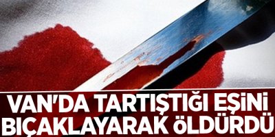 Van'da tartıştığı eşini bıçaklayarak öldürdü