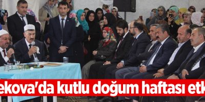 Yüksekova'da kutlu doğum haftası etkinliği