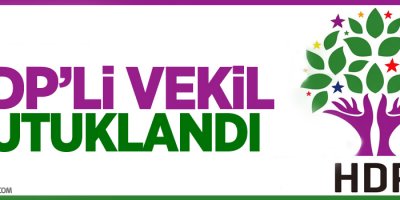HDP'li vekil tutuklandı