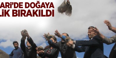 Hakkari’de doğaya keklik bırakıldı