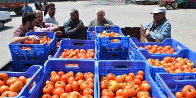 Domates üreticinin yüzünü güldürdü