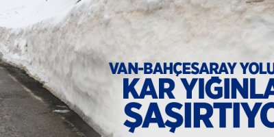 Van-Bahçesaray yolundaki kar yığınları şaşırtıyor