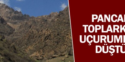 Pancar toplarken uçurumdan yuvarlandı