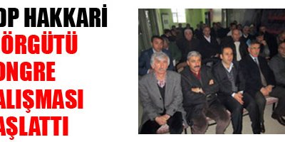 BDP'den Kongre Çalışması