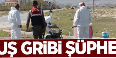 Kuş gribi şüphesi