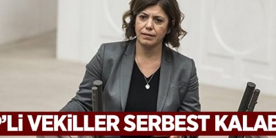 'HDP'li vekiller serbest kalabilir'
