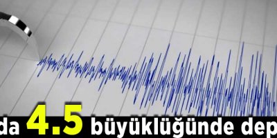 Van'da 4.5 büyüklüğünde deprem!