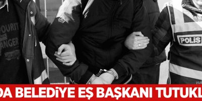 Van'da belediye eş başkanı tutuklandı