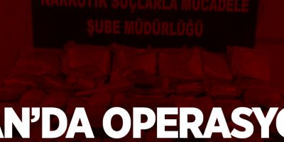 Van'da operasyon, 1 gözaltı