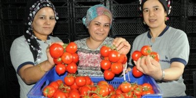Nisanda zam şampiyonu domates oldu