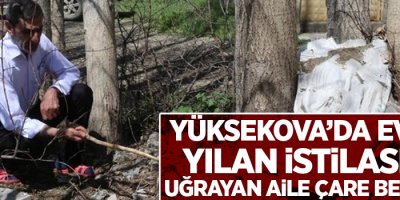 Yüksekova’da evleri yılan istilasına uğrayan aile çare bekliyor