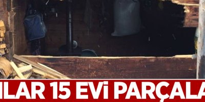 Ayılar 15 evi parçaladı
