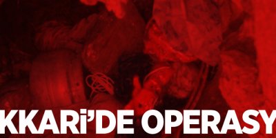 Hakkari'de operasyon düzenlendi