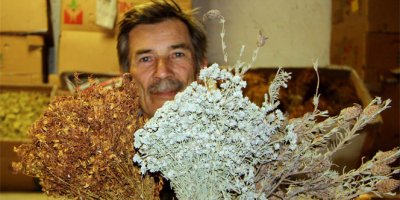 Hayatını şifalı bitkilere adadı