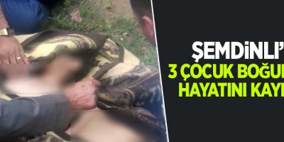 Şemdinli'de 3 çocuk boğularak hayatını kaybetti
