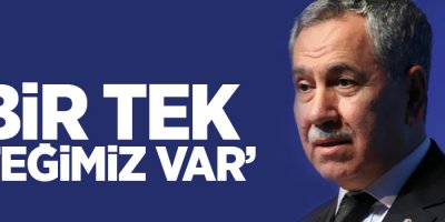 Arınç 'yeni parti' kurup kurmayacaklarını Selvi'ye söyledi