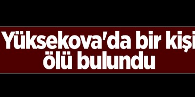 Yüksekova'da bir kişi ölü bulundu