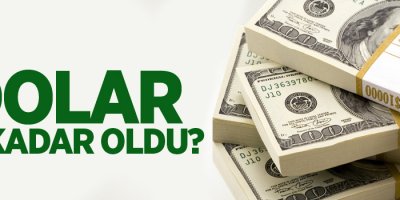 Dolar ve Euro ne kadar?
