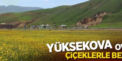 Yüksekova ovası çiçeklerle bezendi