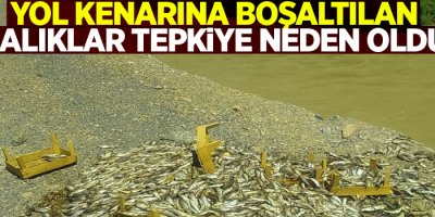 Yol kenarına boşaltılan balıklar tepkiye neden oldu
