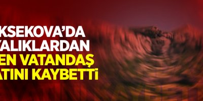 Yüksekova’da kayalıklardan düşen vatandaş hayatını kaybetti