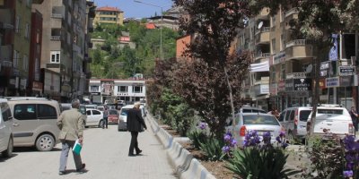 Hakkari yöreye has çiçeklerle renklenecek