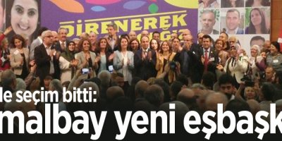 HDP'de seçim bitti: Kemalbay yeni eşbaşkan