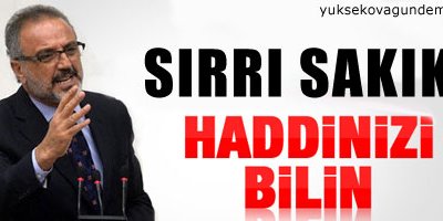 CHPli Önerin 'ırkçı' söylemi Meclisi gerdi