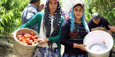 Ekmek parası için gece 03.30’da kalkıp yollara düşüyorlar