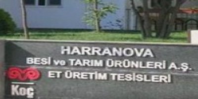 Koç Holding besicilikten çekildi