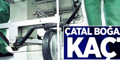 Dişini karıştırdığı çatal boğazına kaçtı