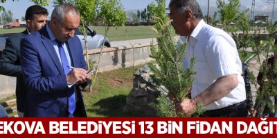 Yüksekova Belediyesi 13 Bin Fidan Dağıtacak