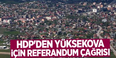 HDP'den Cizre ve Yüksekova için referandum çağrısı