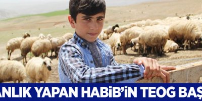 Çobanlık yapan Habib’in TEOG başarısı