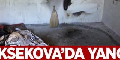 Yüksekova'da çıkan yangın maddi hasara neden oldu